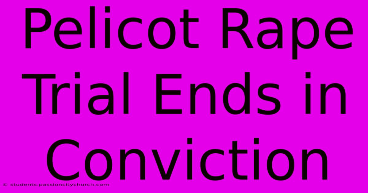 Pelicot Rape Trial Ends In Conviction