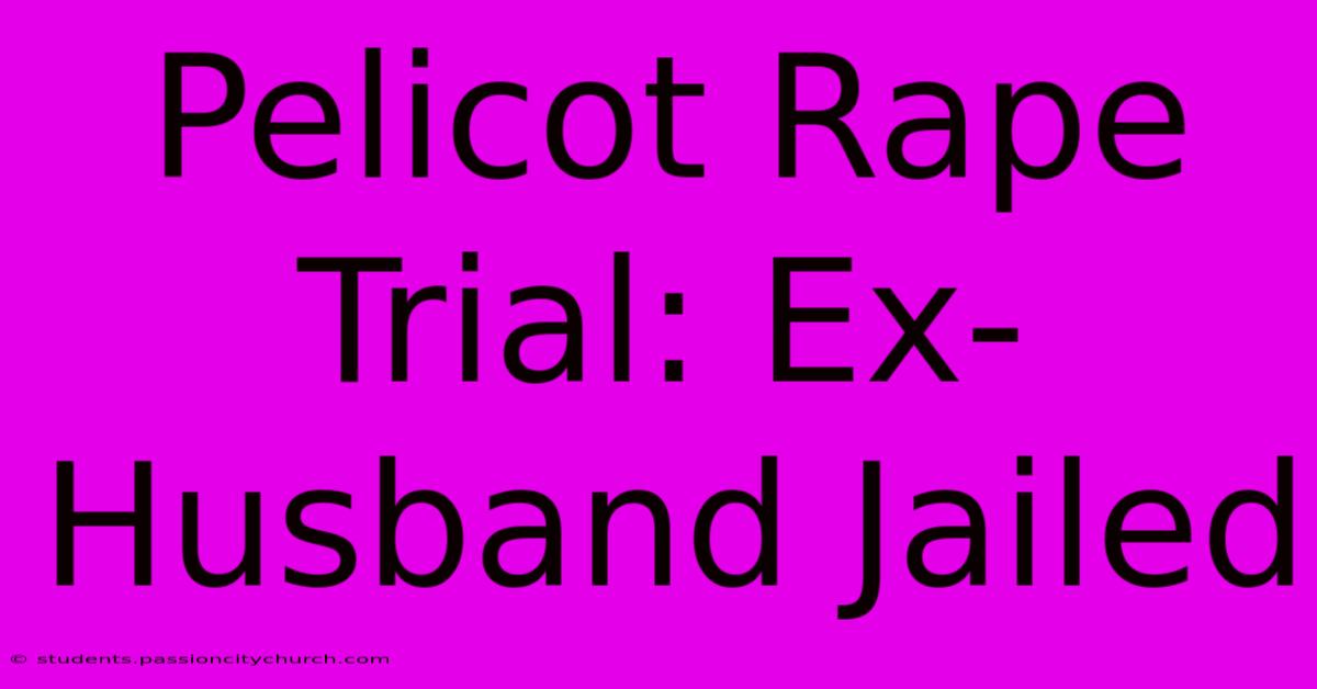 Pelicot Rape Trial: Ex-Husband Jailed