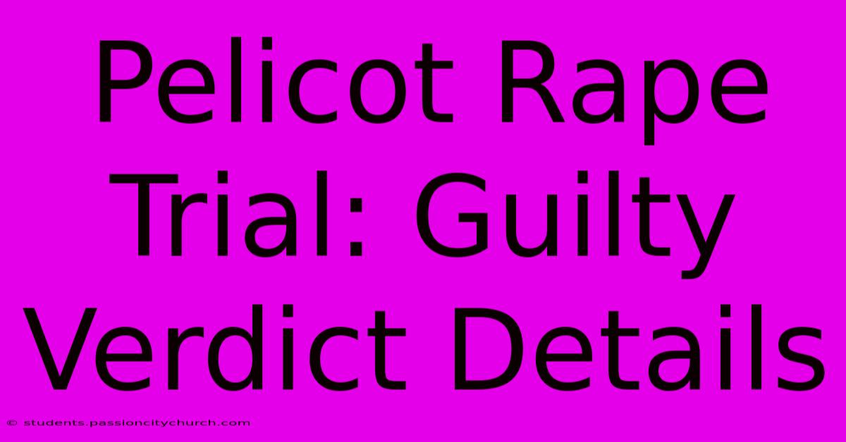 Pelicot Rape Trial: Guilty Verdict Details