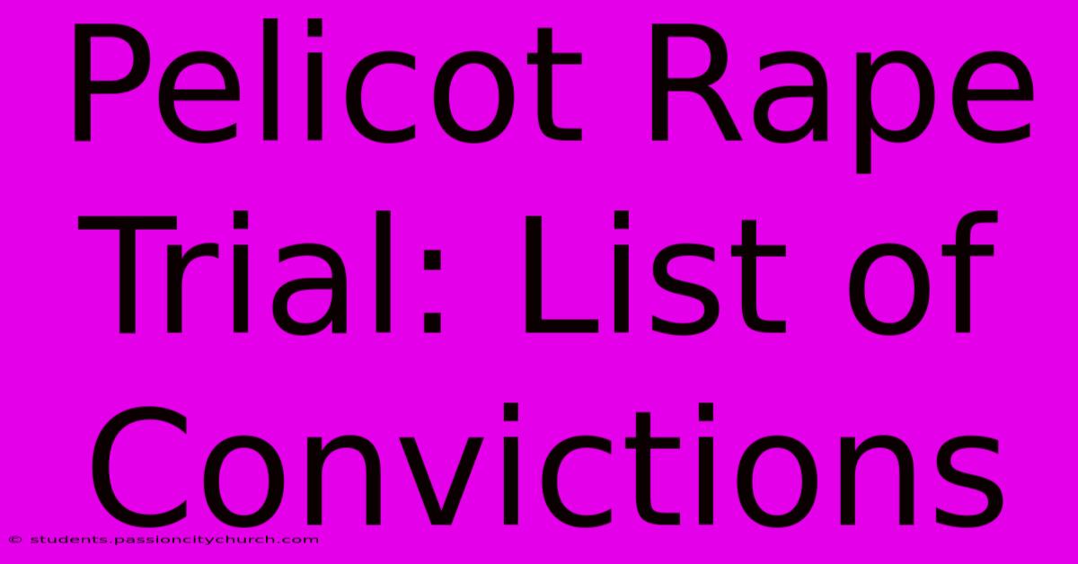 Pelicot Rape Trial: List Of Convictions