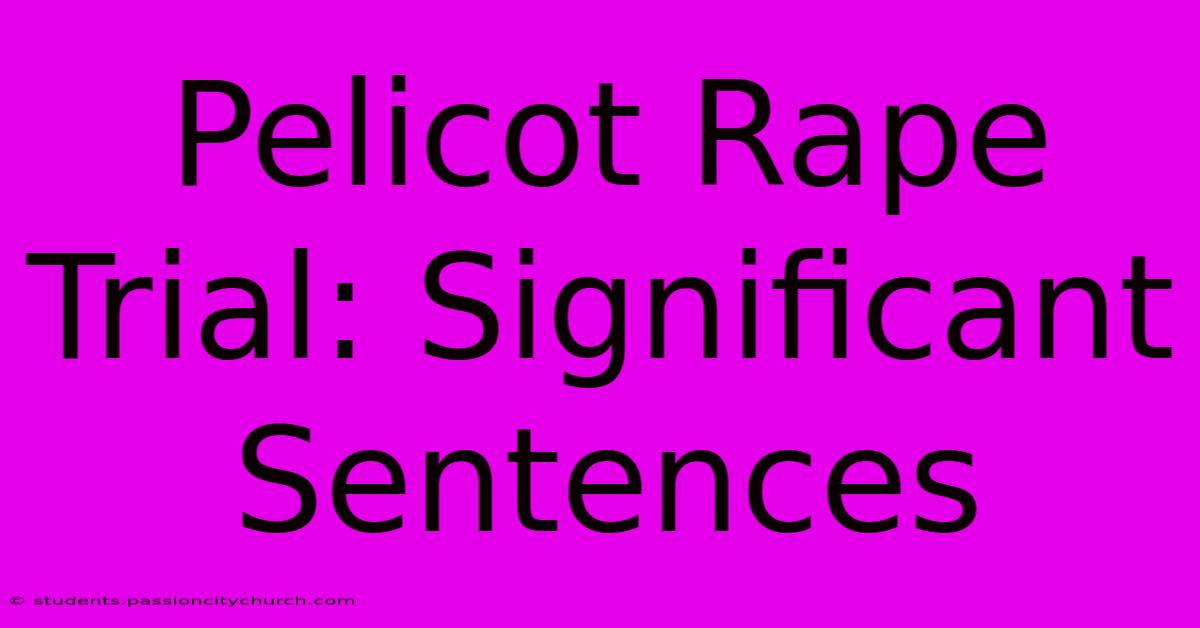 Pelicot Rape Trial: Significant Sentences