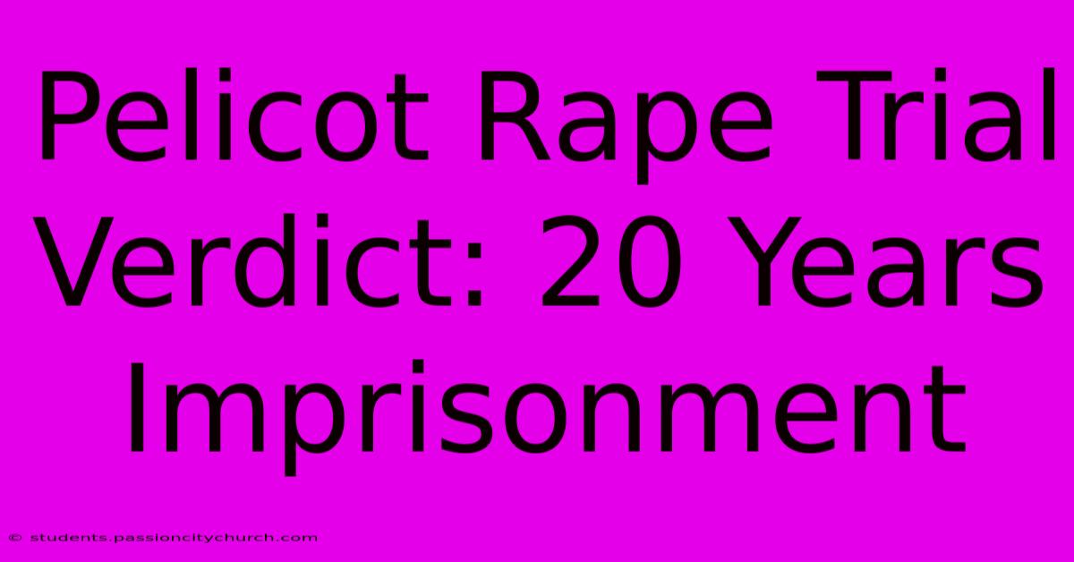 Pelicot Rape Trial Verdict: 20 Years Imprisonment