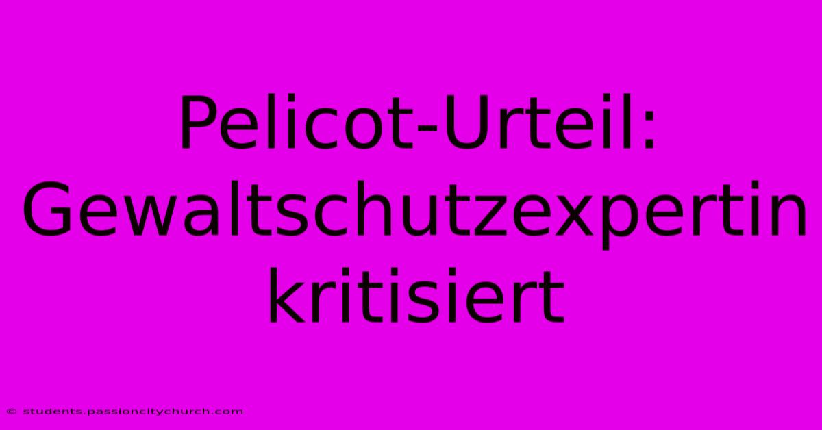 Pelicot-Urteil: Gewaltschutzexpertin Kritisiert