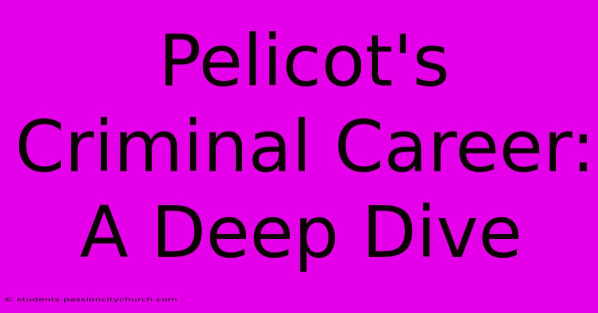 Pelicot's Criminal Career: A Deep Dive