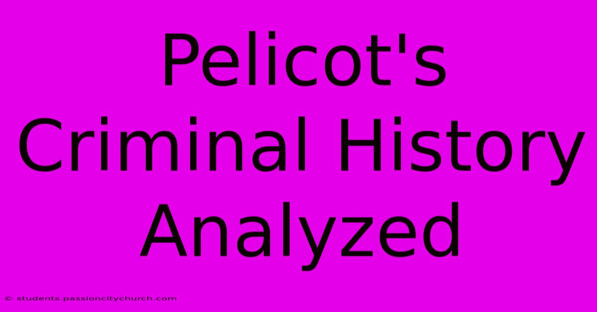 Pelicot's Criminal History Analyzed