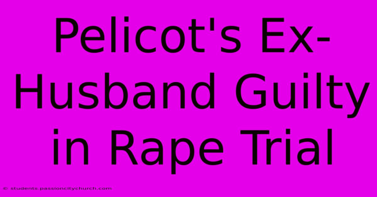 Pelicot's Ex-Husband Guilty In Rape Trial