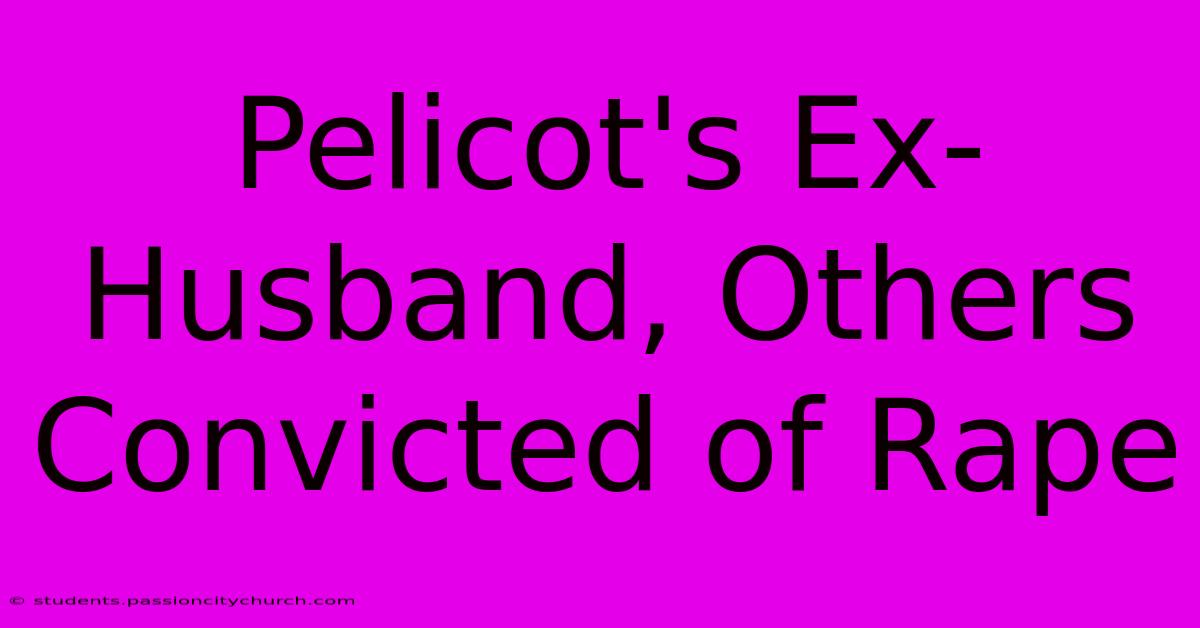 Pelicot's Ex-Husband, Others Convicted Of Rape