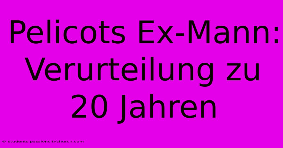 Pelicots Ex-Mann: Verurteilung Zu 20 Jahren