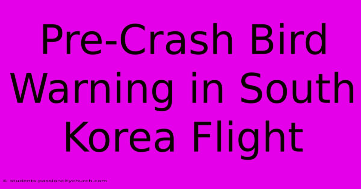 Pre-Crash Bird Warning In South Korea Flight