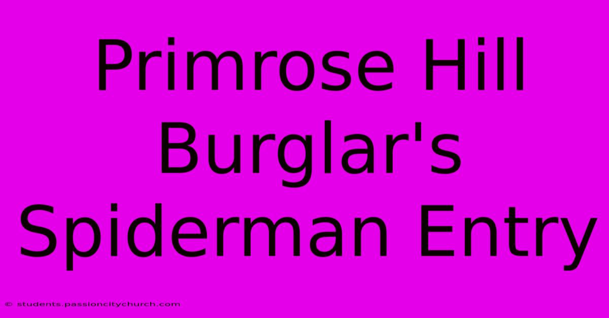 Primrose Hill Burglar's Spiderman Entry