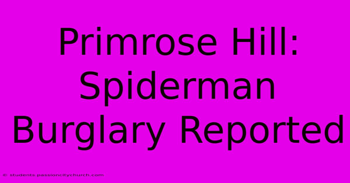 Primrose Hill: Spiderman Burglary Reported