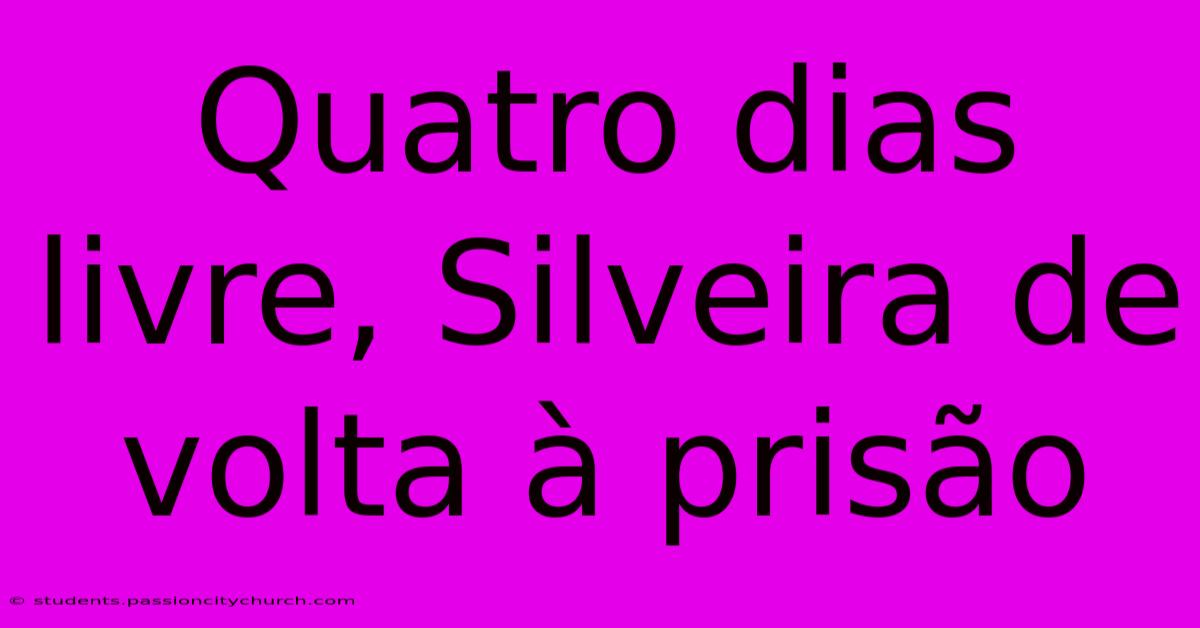 Quatro Dias Livre, Silveira De Volta À Prisão