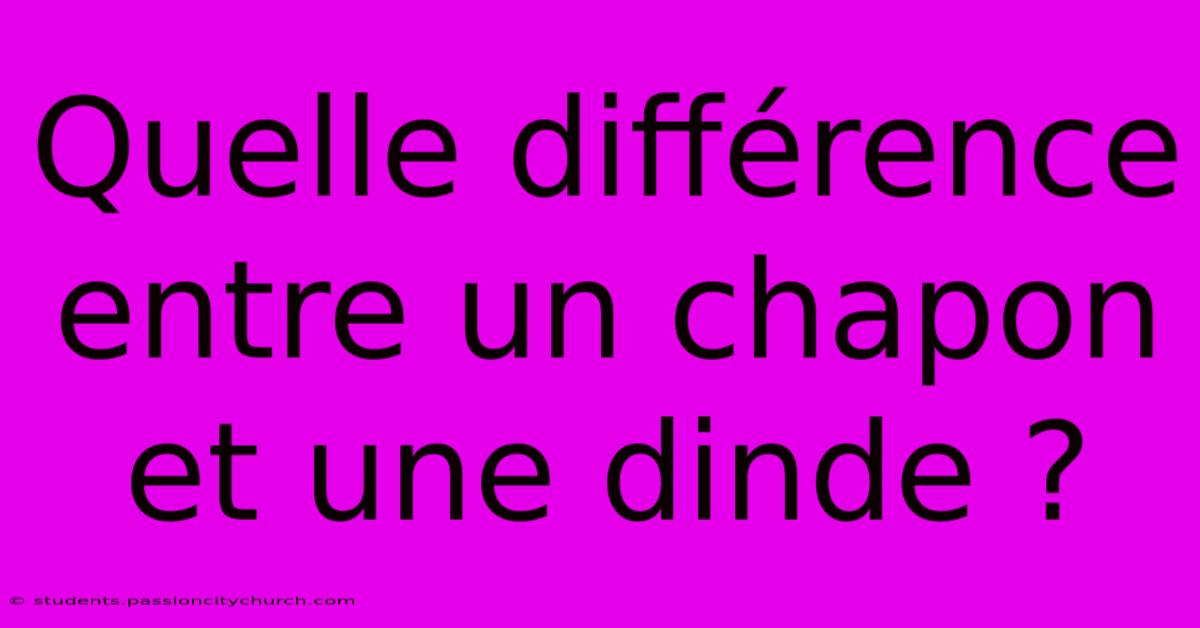 Quelle Différence Entre Un Chapon Et Une Dinde ?