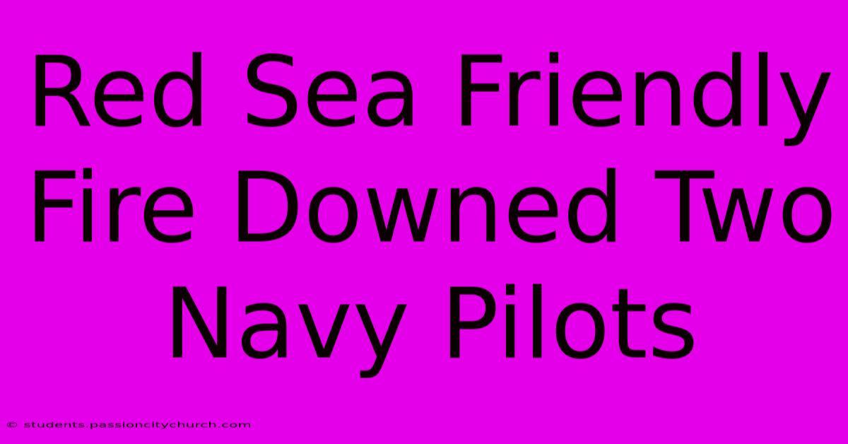 Red Sea Friendly Fire Downed Two Navy Pilots