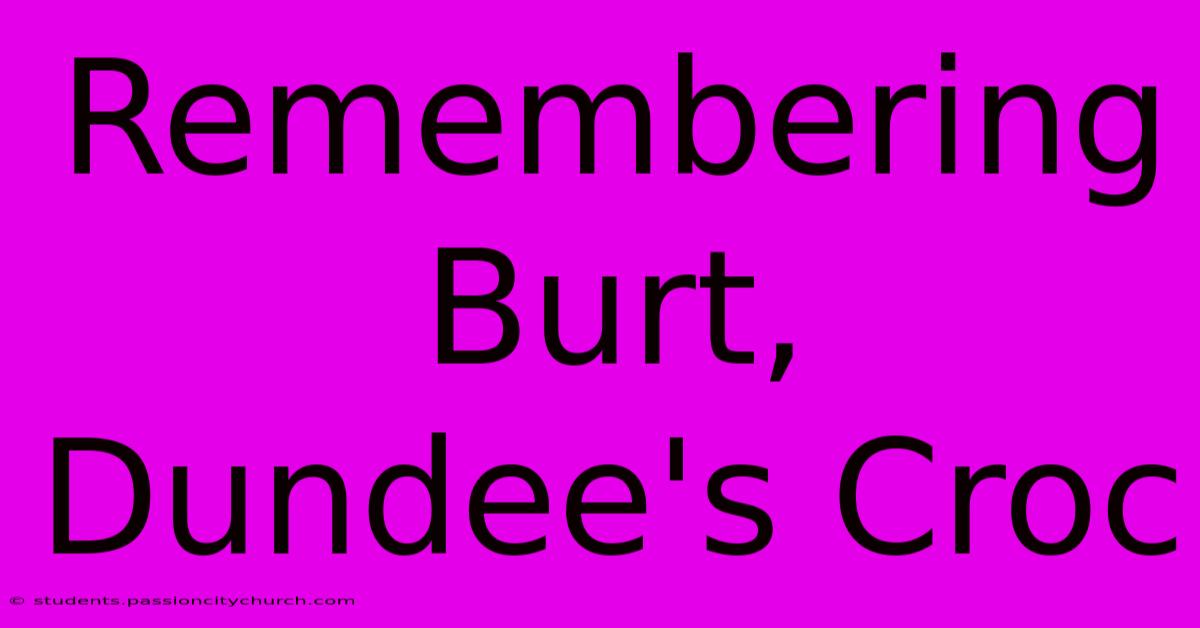 Remembering Burt, Dundee's Croc