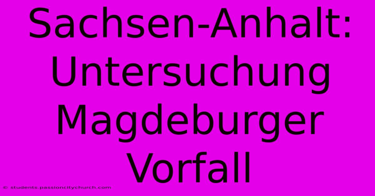 Sachsen-Anhalt: Untersuchung Magdeburger Vorfall