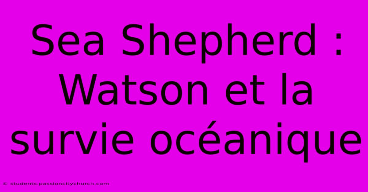 Sea Shepherd : Watson Et La Survie Océanique