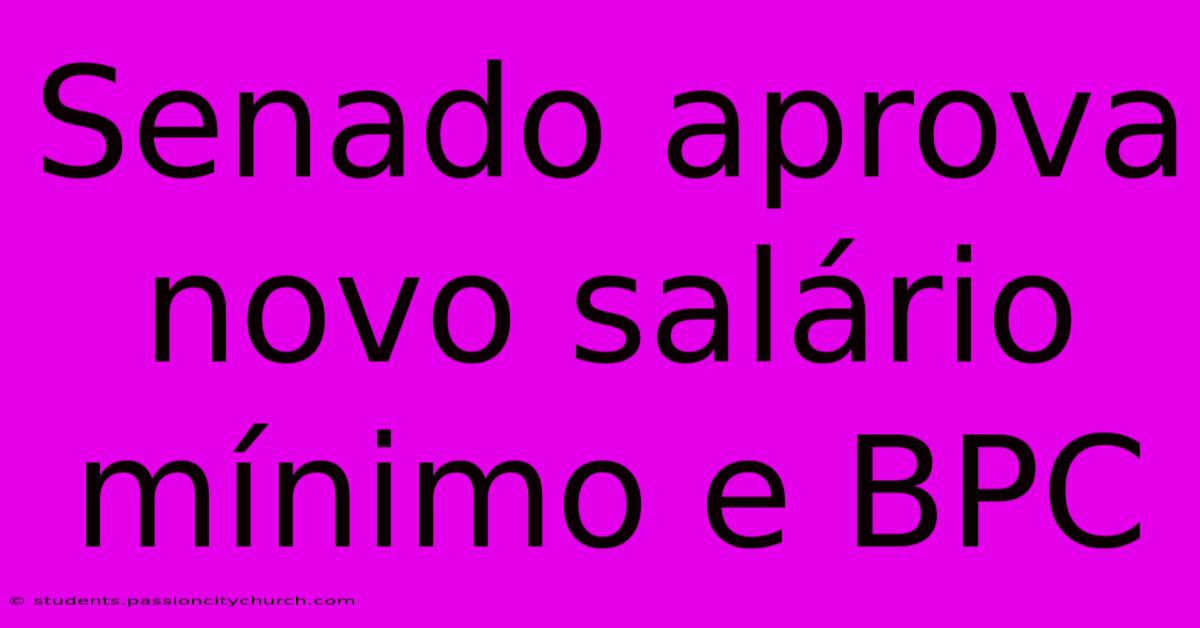 Senado Aprova Novo Salário Mínimo E BPC