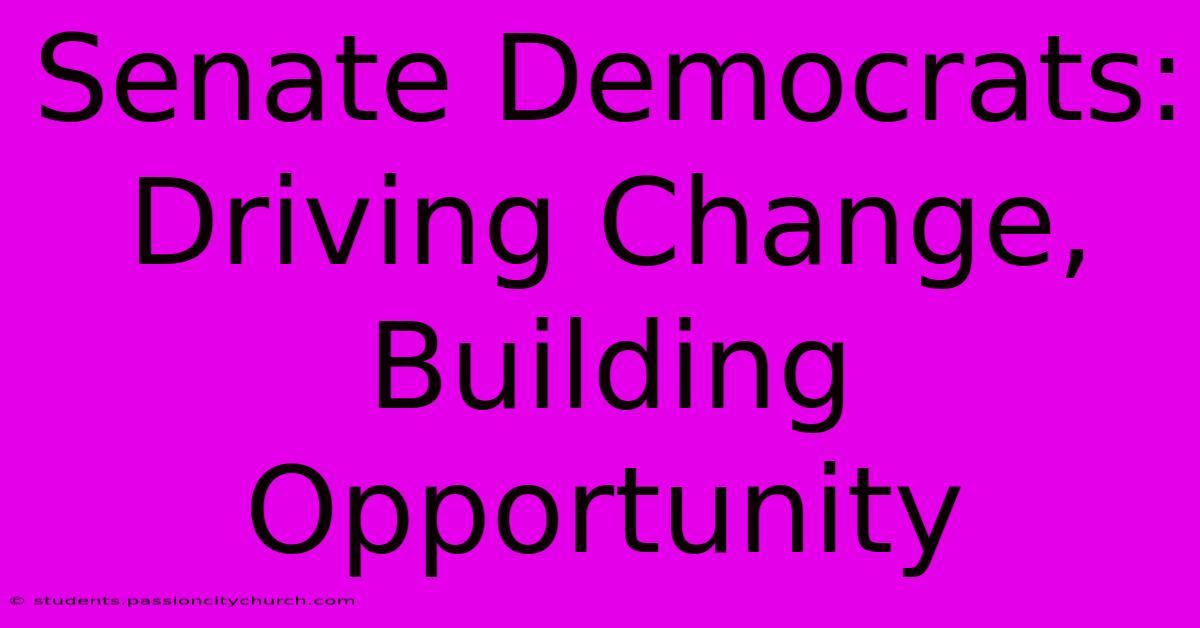 Senate Democrats: Driving Change, Building Opportunity