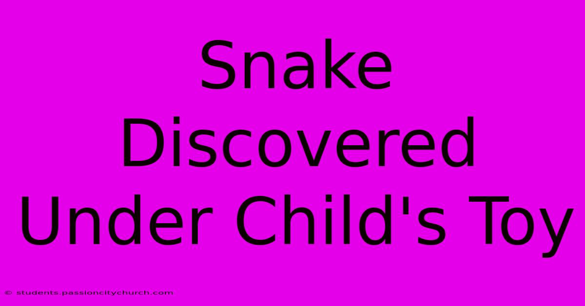 Snake Discovered Under Child's Toy