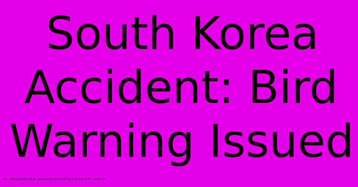 South Korea Accident: Bird Warning Issued