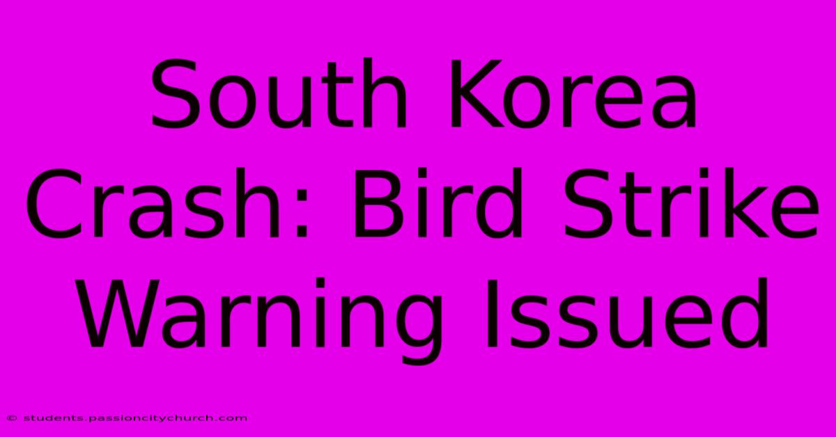 South Korea Crash: Bird Strike Warning Issued