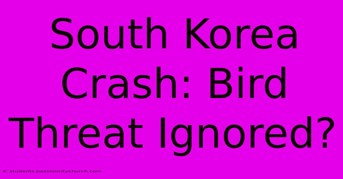 South Korea Crash: Bird Threat Ignored?