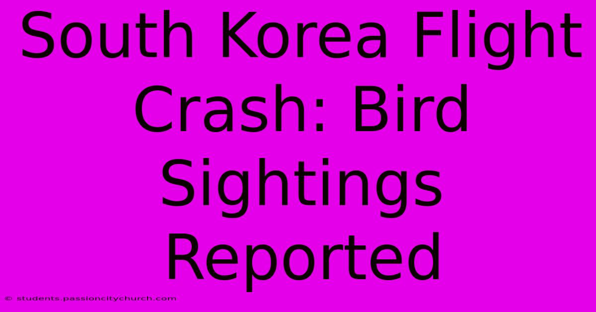 South Korea Flight Crash: Bird Sightings Reported