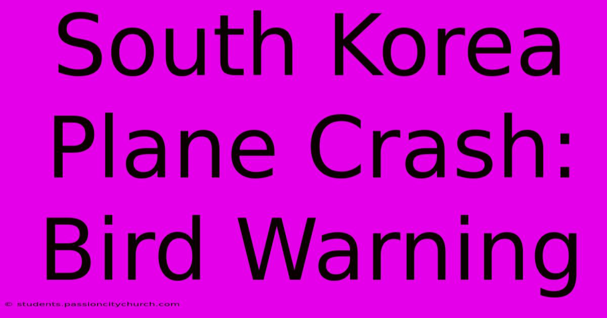 South Korea Plane Crash: Bird Warning