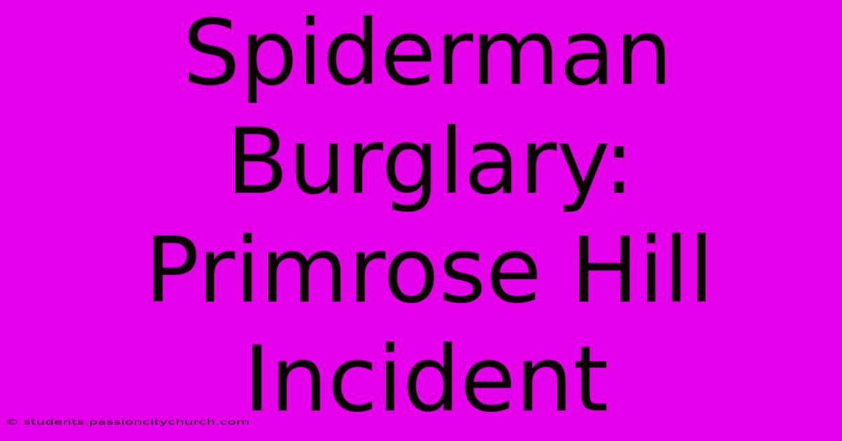 Spiderman Burglary: Primrose Hill Incident