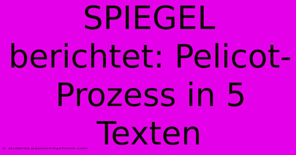 SPIEGEL Berichtet: Pelicot-Prozess In 5 Texten