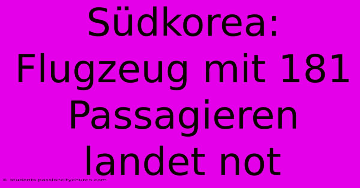 Südkorea: Flugzeug Mit 181 Passagieren Landet Not