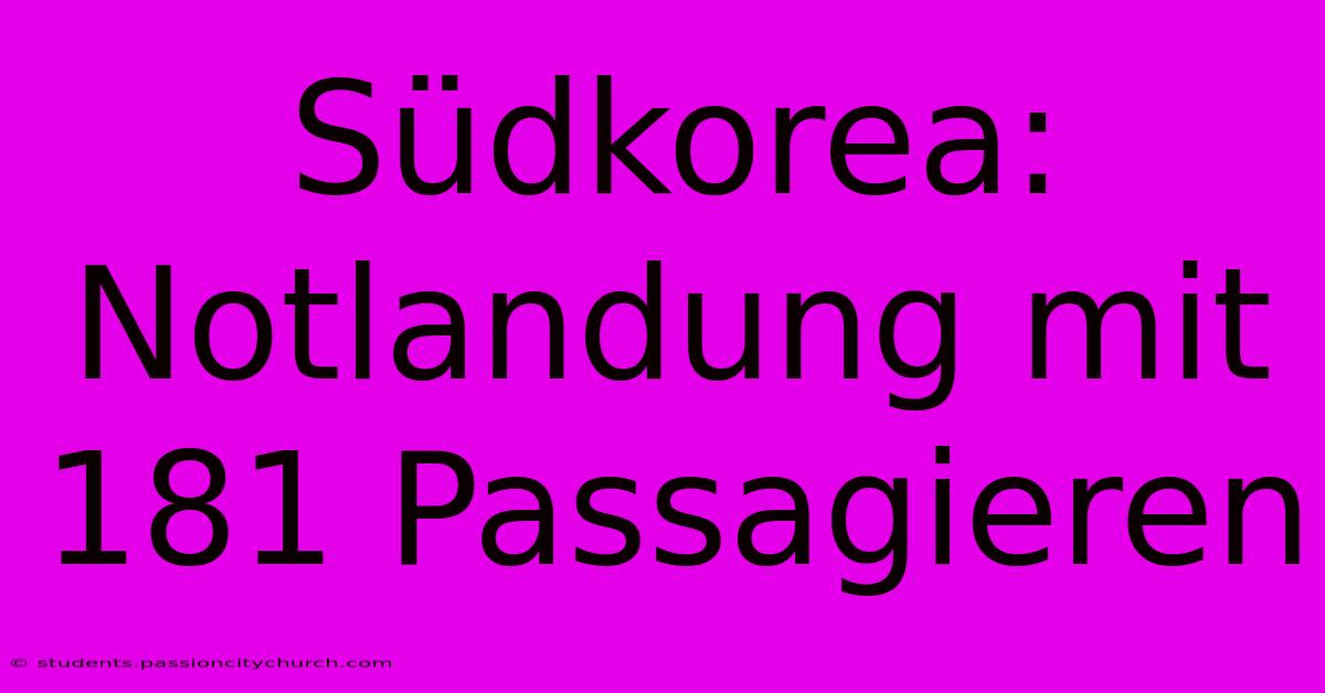 Südkorea: Notlandung Mit 181 Passagieren