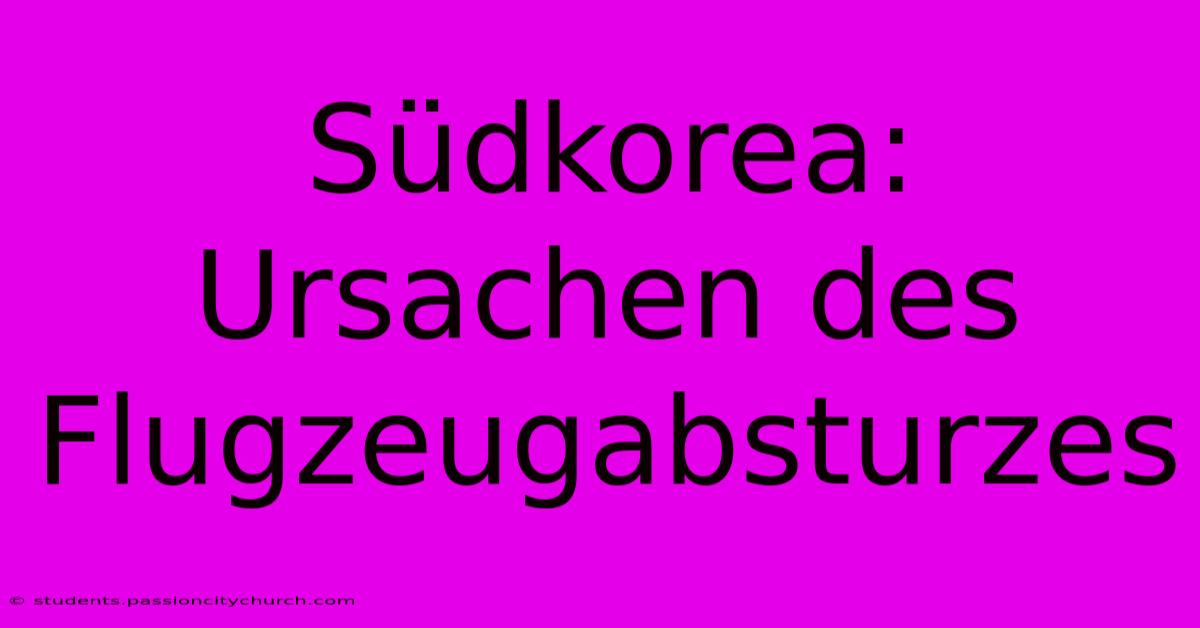 Südkorea: Ursachen Des Flugzeugabsturzes