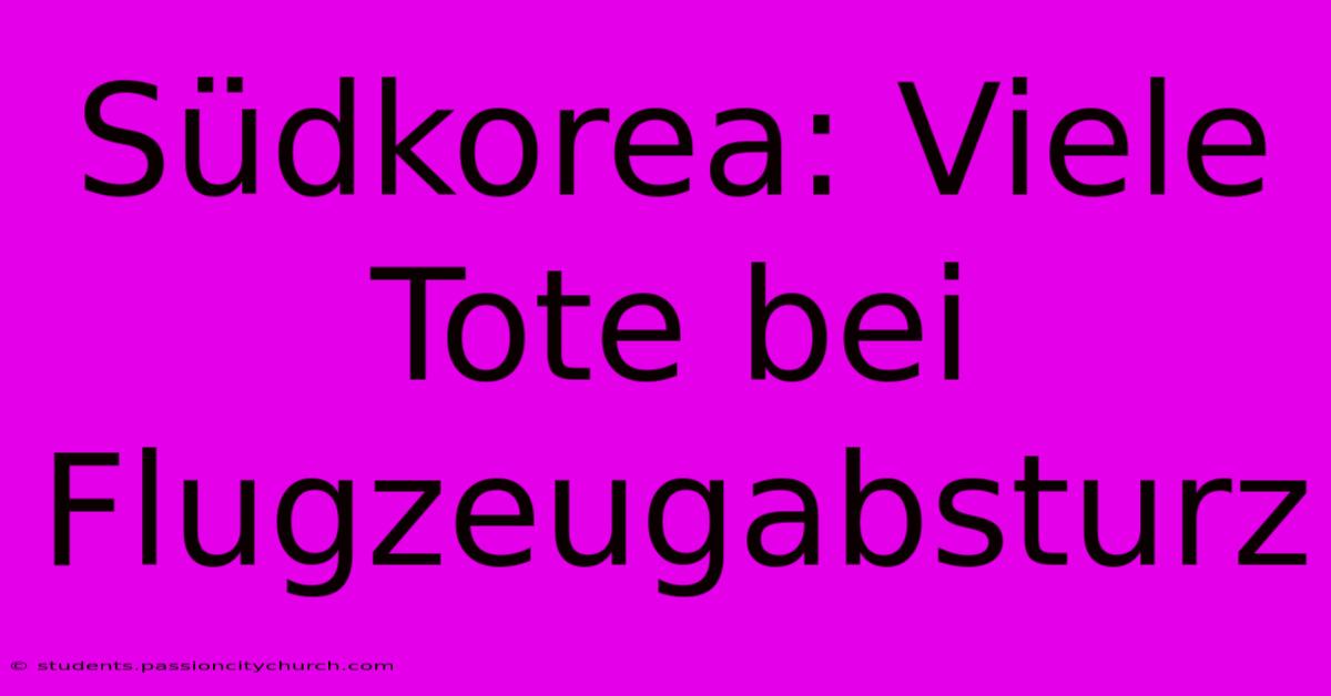 Südkorea: Viele Tote Bei Flugzeugabsturz