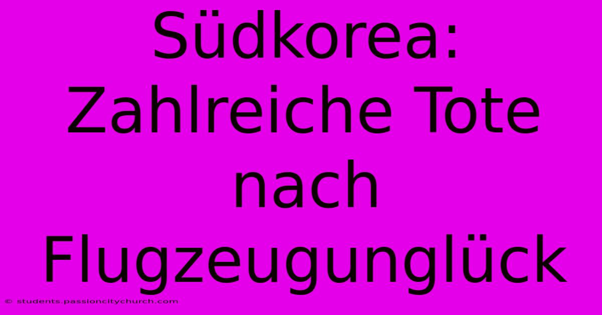 Südkorea: Zahlreiche Tote Nach Flugzeugunglück