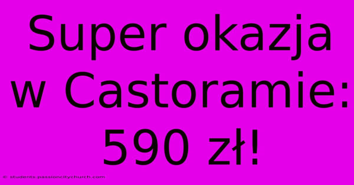 Super Okazja W Castoramie: 590 Zł!