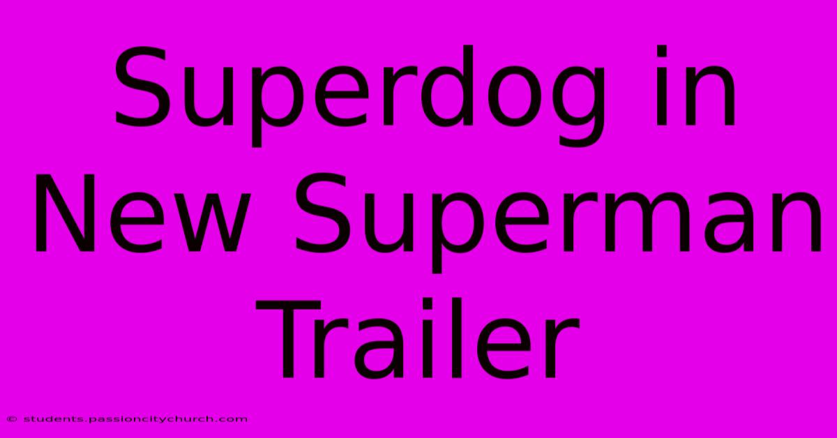 Superdog In New Superman Trailer