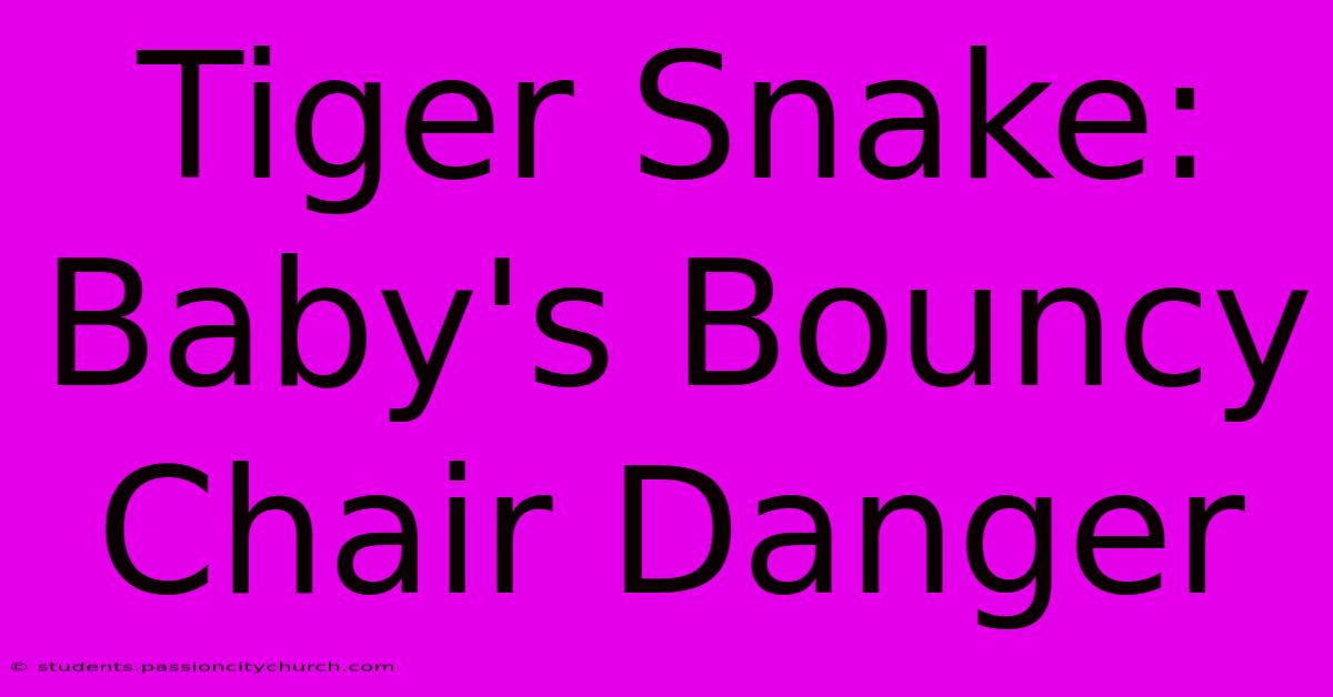 Tiger Snake: Baby's Bouncy Chair Danger