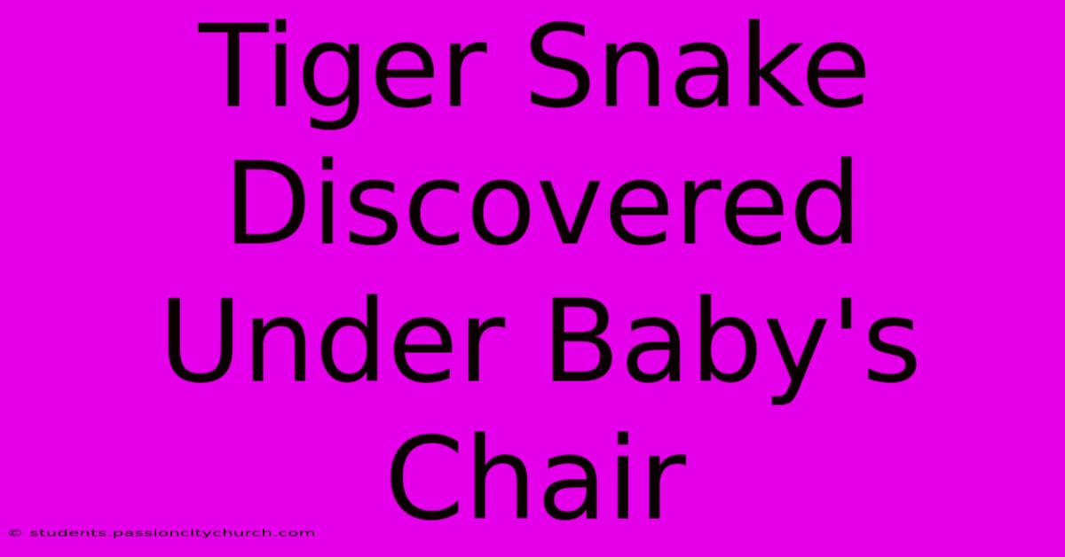 Tiger Snake Discovered Under Baby's Chair