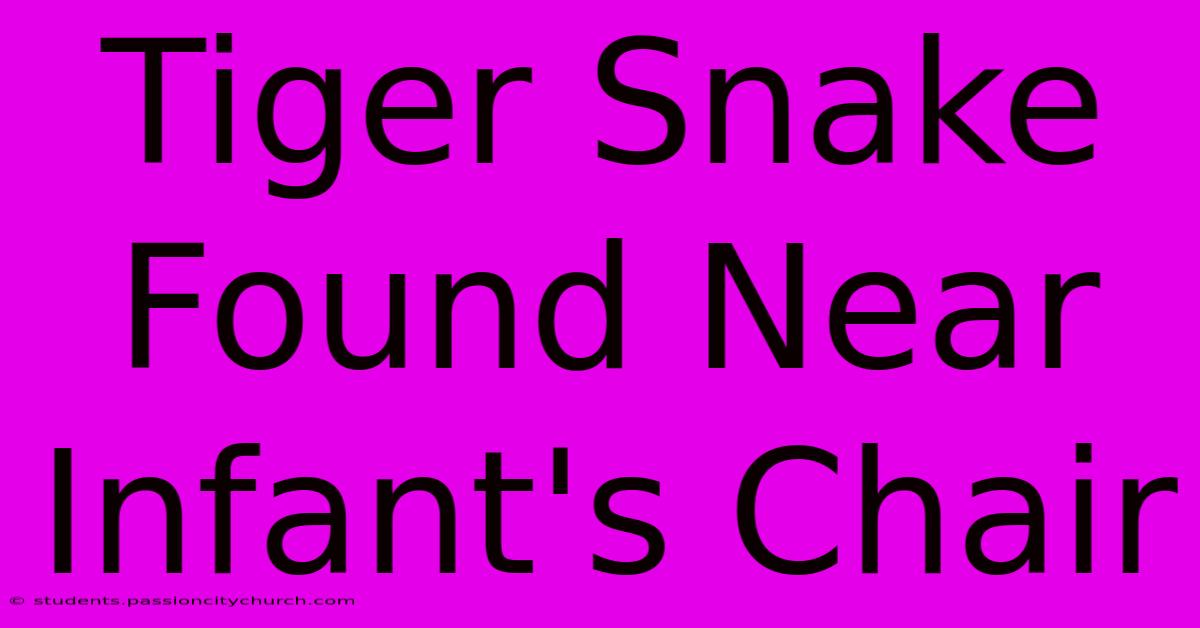 Tiger Snake Found Near Infant's Chair