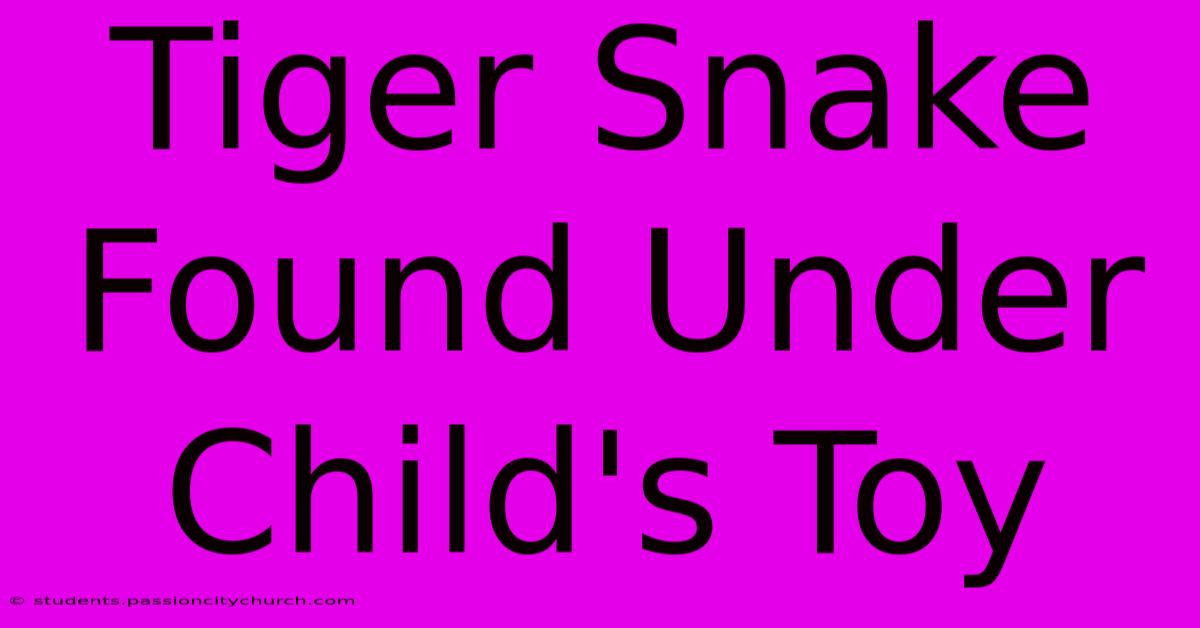 Tiger Snake Found Under Child's Toy