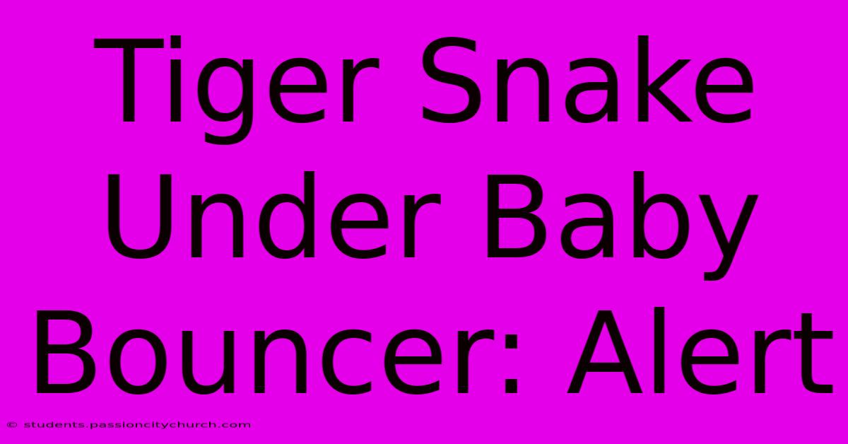 Tiger Snake Under Baby Bouncer: Alert