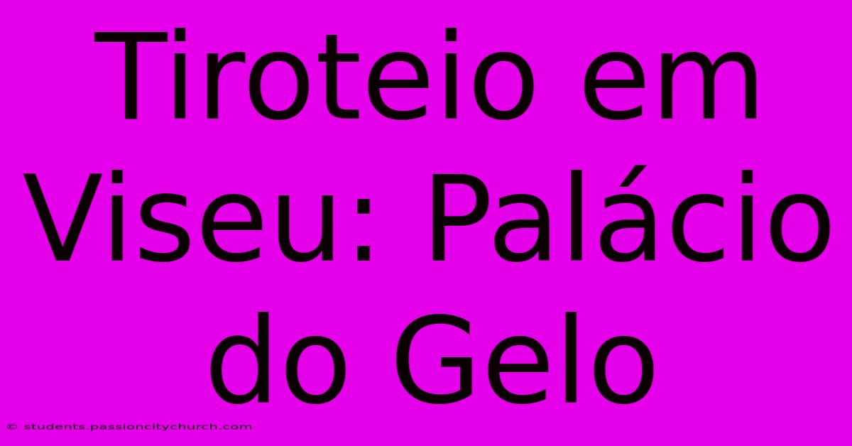 Tiroteio Em Viseu: Palácio Do Gelo