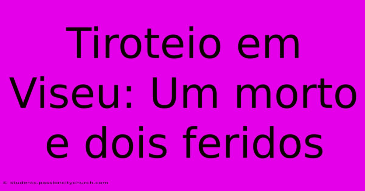 Tiroteio Em Viseu: Um Morto E Dois Feridos