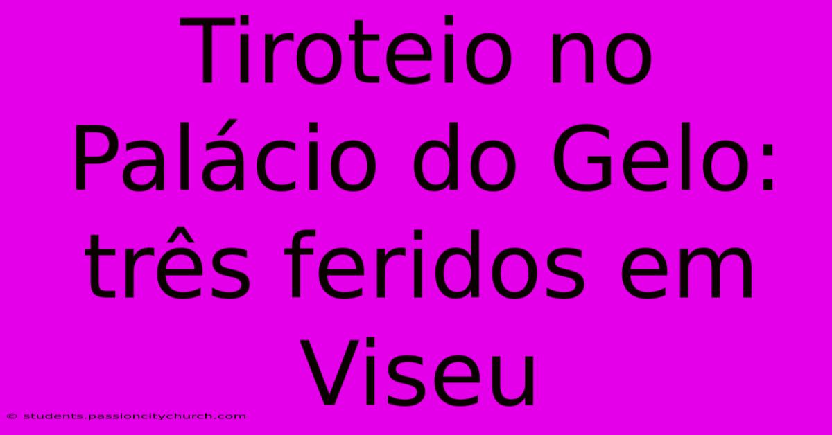 Tiroteio No Palácio Do Gelo: Três Feridos Em Viseu