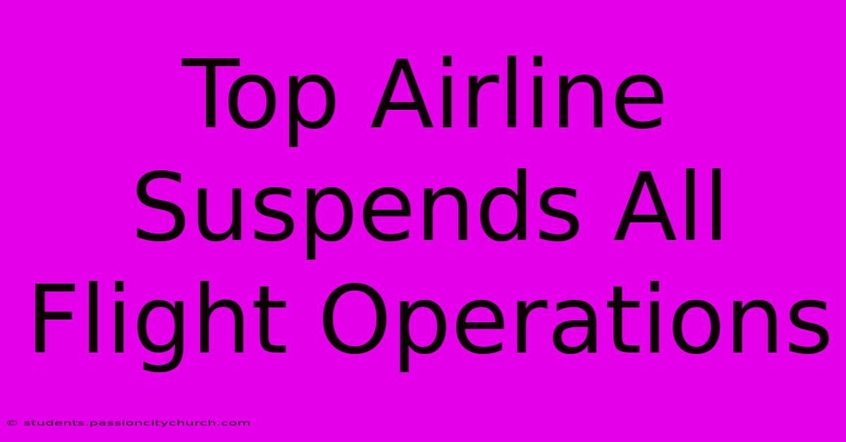 Top Airline Suspends All Flight Operations