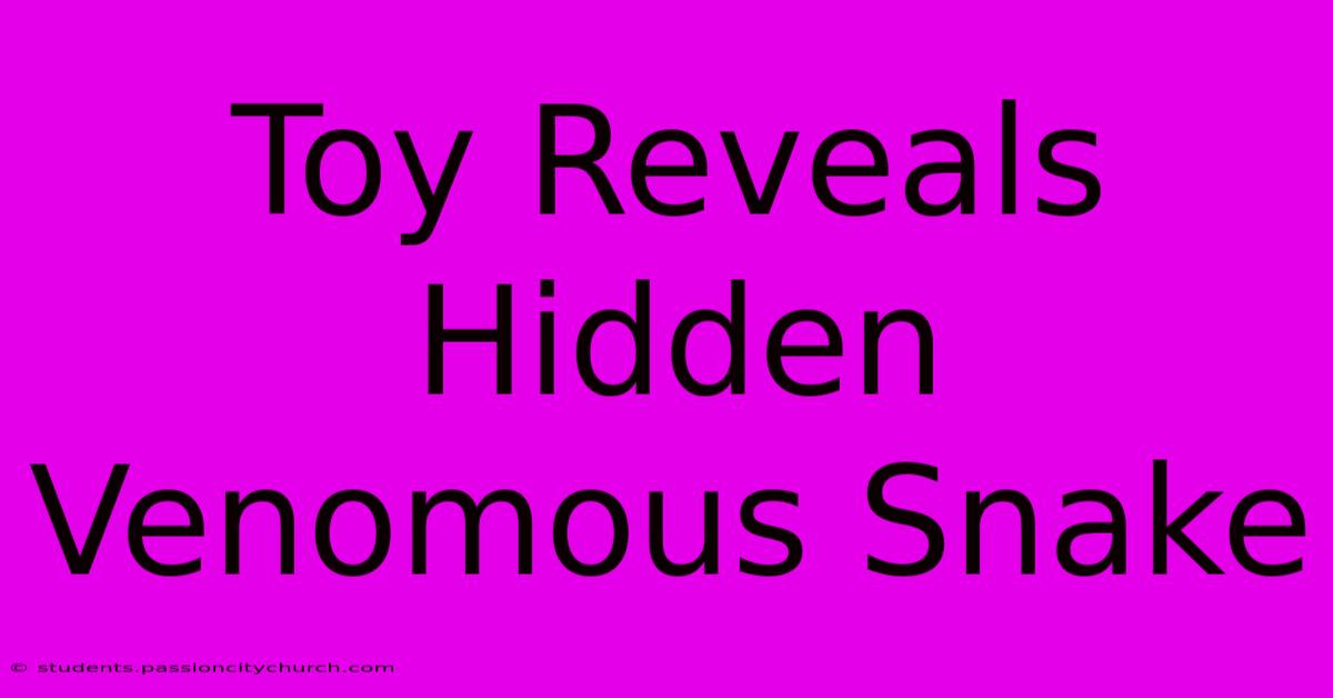 Toy Reveals Hidden Venomous Snake