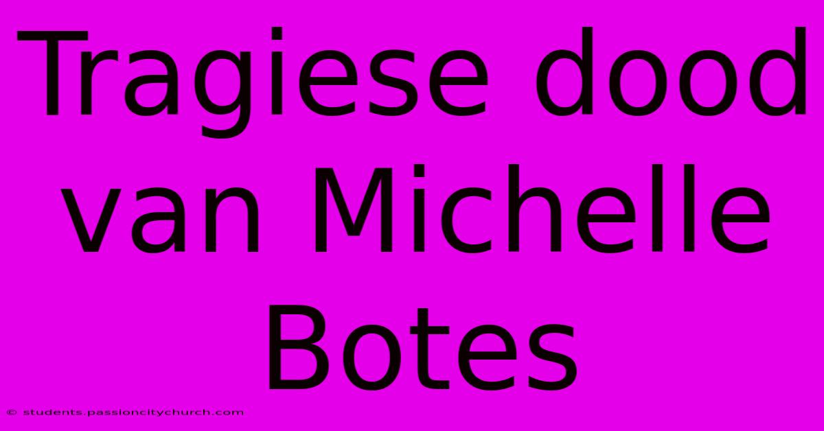 Tragiese Dood Van Michelle Botes