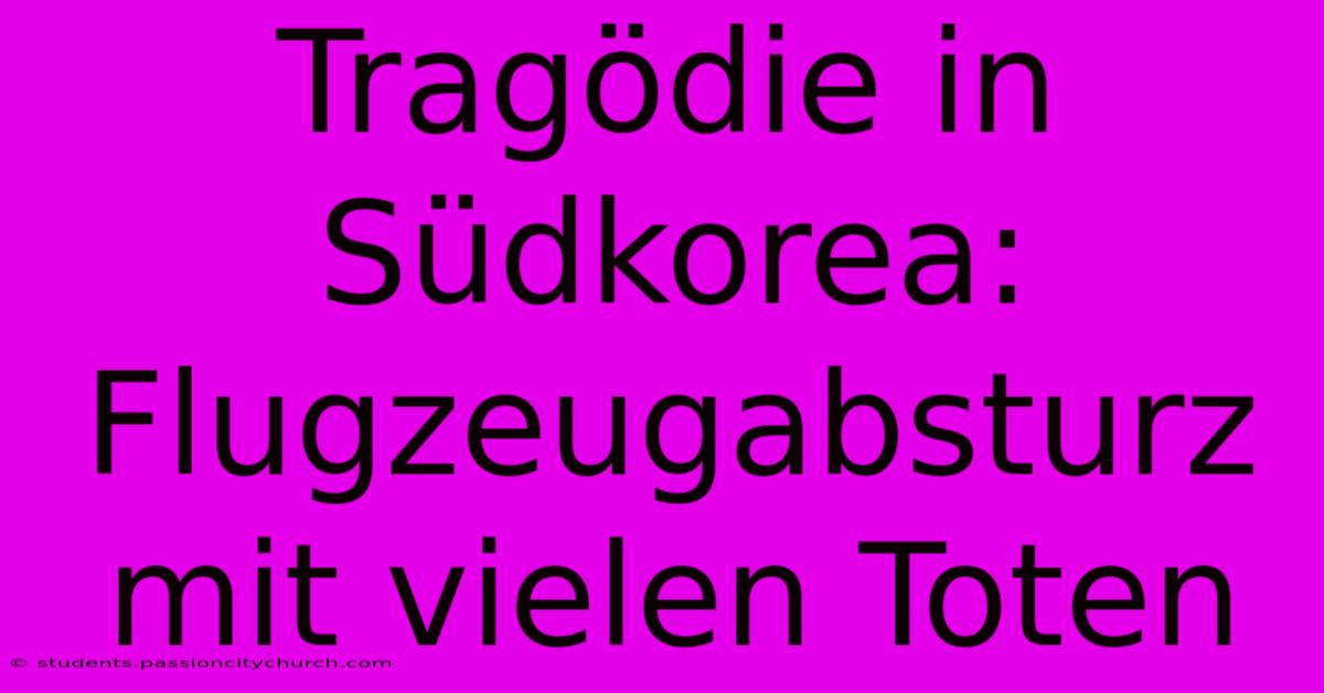 Tragödie In Südkorea: Flugzeugabsturz Mit Vielen Toten